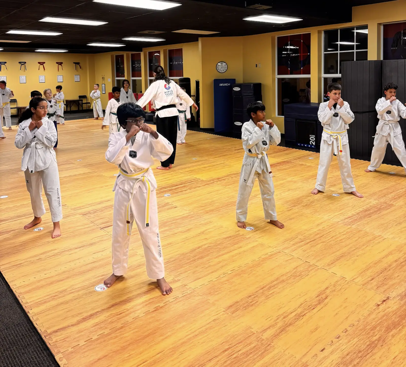 Young King Tiger students practicing their ready stance